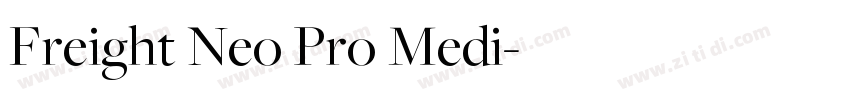 Freight Neo Pro Medi字体转换